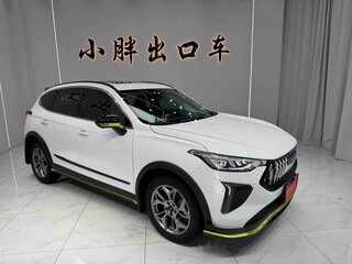 2022 Haval Chitu, белый, 1120000 рублей, вид 3