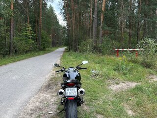 2014 Ducati Monster 796, чёрный, 570000 рублей, вид 5