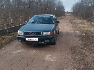 1991 Audi 100 IV (C4), серый, 230000 рублей, вид 1