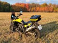 2012 BMW F 650 GS, жёлтый, 600000 рублей - вид 2