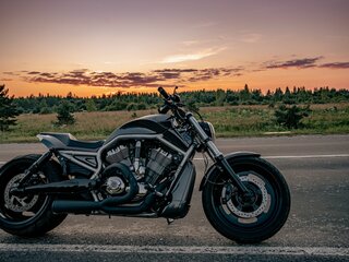 2009 Harley-Davidson V-Rod, серый, 2000000 рублей, вид 1