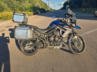 2017 Triumph Tiger 800, синий, 650000 рублей, вид 5