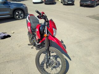 2019 ЗиД YX250GY-C5C, красный, 100000 рублей, вид 4