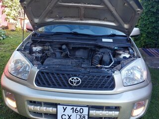 2001 Toyota RAV4 II (XA20), золотистый, 580000 рублей, вид 2