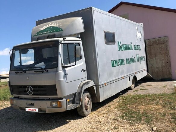 1989 Mercedes-Benz L-Series, серебристый, 1600000 рублей