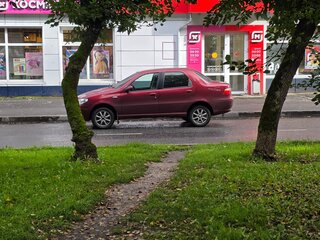 2007 Fiat Albea I Рестайлинг, красный, 300000 рублей, вид 5