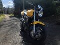 2002 Honda CB 600F Hornet, жёлтый, 330000 рублей