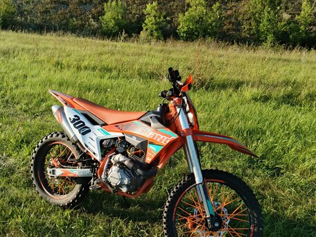 2025 Motoland Enduro 300, оранжевый, 150000 рублей, вид 4