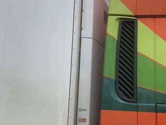 2019 Schmitz Cargobull SKO, белый, 5270000 рублей - вид 6