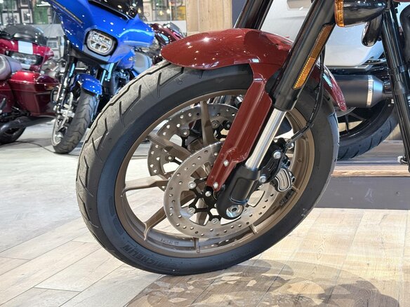2024 Harley-Davidson Low Rider ST, коричневый, 2950000 рублей - вид 13