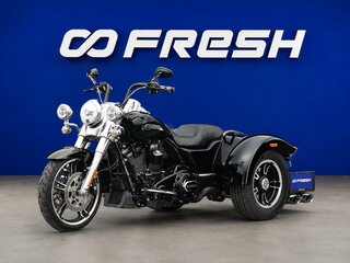 Harley-Davidson Freewheeler