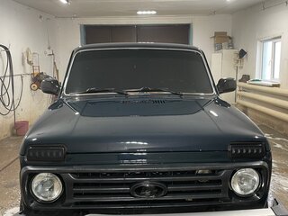 2013 Lada (ВАЗ) 2121 (4x4) I Рестайлинг, зелёный, 300000 рублей, вид 2