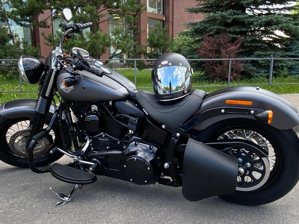 2017 Harley-Davidson Softail Slim, серый, 1800000 рублей