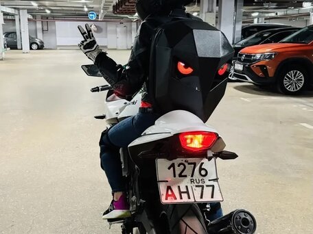 2008 Kawasaki Ninja 250R, белый, 259000 рублей, вид 1