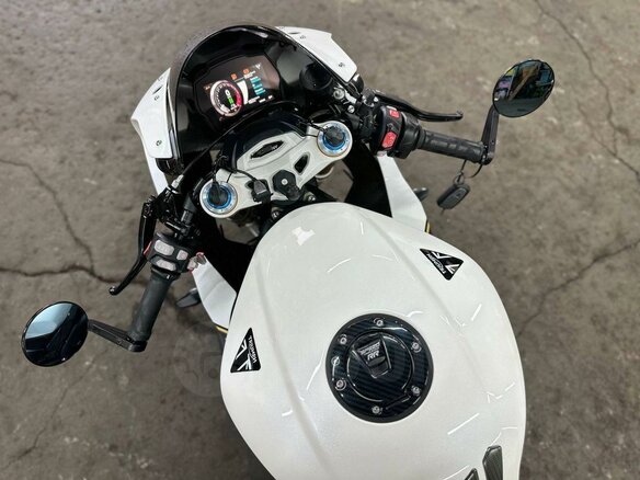 2022 Triumph Speed Triple, белый, 1550000 рублей - вид 10