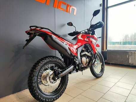 2026 Loncin DS250, красный, 258000 рублей, вид 3