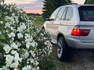 2002 BMW X5 4.4i I (E53), серебристый, 1250000 рублей, вид 4