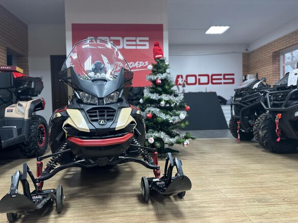 2025 AODES (Odes) Snowcross 1000, бежевый, 999000 рублей - вид 1