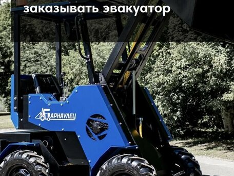 2024 Другие Бензиновый снегоуборщик, синий, 1000000 рублей, вид 2