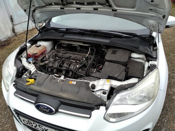 2013 Ford Focus III, белый, 600000 рублей - вид 8