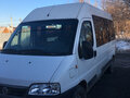 2011 Fiat Professional Ducato, белый, 1000000 рублей