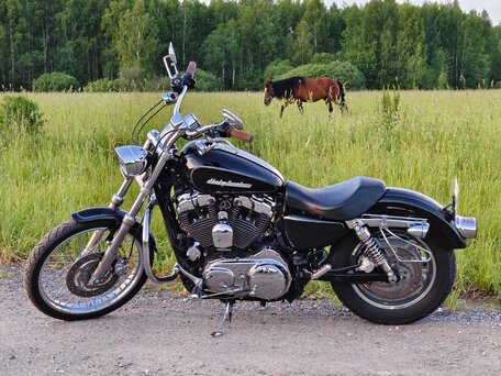 2010 Harley-Davidson Sportster 1200, чёрный, 750000 рублей, вид 5