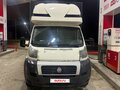 2014 Fiat Professional Ducato, белый, 2250000 рублей