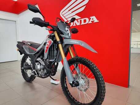 2025 Honda CRF 300L, серый, 891900 рублей, вид 2