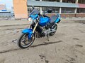 2005 Honda CB 600F Hornet, синий, 450000 рублей - вид 5