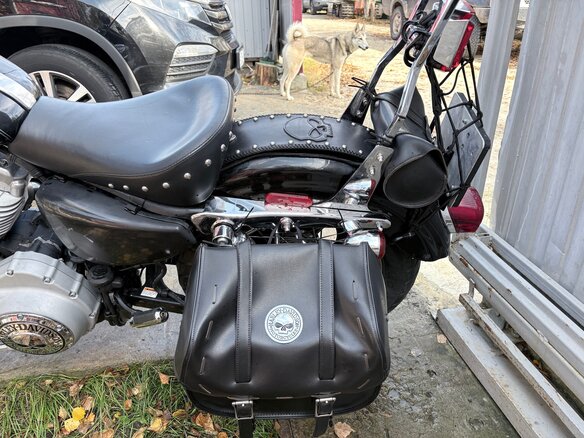 2005 Harley-Davidson Sportster 883, чёрный, 590000 рублей - вид 10