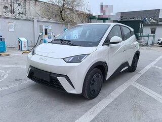 2024 BYD Seagull 30.08 kWh I, белый, 1200000 рублей, вид 1