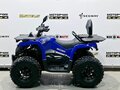 2025 Bison 250U, синий - вид 1
