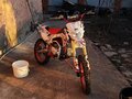 2019 Motoland CRF125, красный, 75000 рублей - вид 4