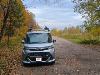 2017 Toyota Tank I, серебристый, 1050000 рублей, вид 1