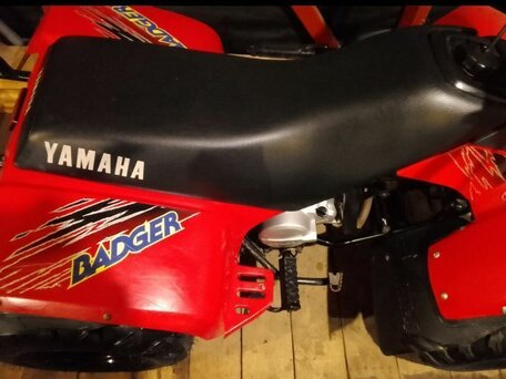1997 Yamaha YF100M, красный, 310000 рублей, вид 3