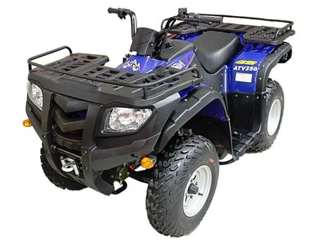 2026 Armada ATV 250, синий, 171000 рублей, вид 1