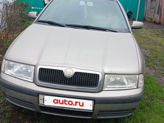 2007 Skoda Octavia I (A4) Рестайлинг, серый, 400000 рублей, вид 1