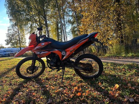 2020 Racer Sagita, оранжевый, 55000 рублей, вид 2