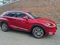 2019 Lexus NX 200 I Рестайлинг, красный, 3650000 рублей - вид 8
