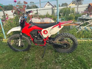 2024 Darex Alga 300, красный, 130000 рублей, вид 4