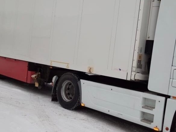 2006 Schmitz Cargobull SKO, белый, 2500000 рублей - вид 2