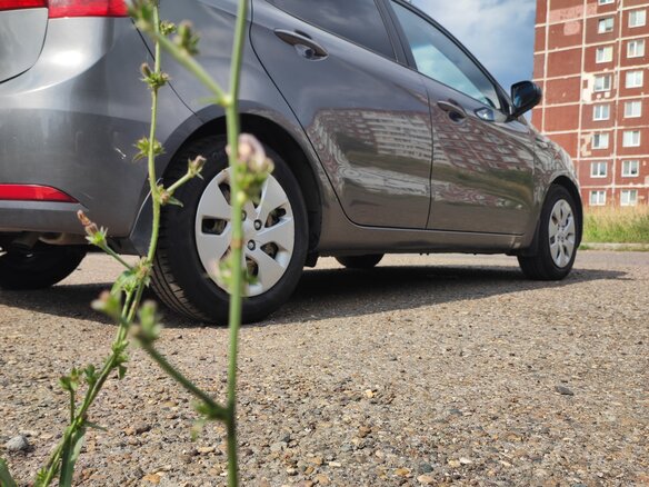 2013 Kia Rio III, серый, 850000 рублей - вид 2