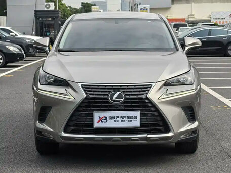 2021 Lexus NX 200 I Рестайлинг, серый, 2500000 рублей, вид 3