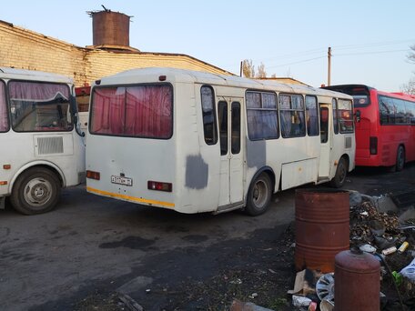 2006 ПАЗ 4234, белый, 399000 рублей, вид 2