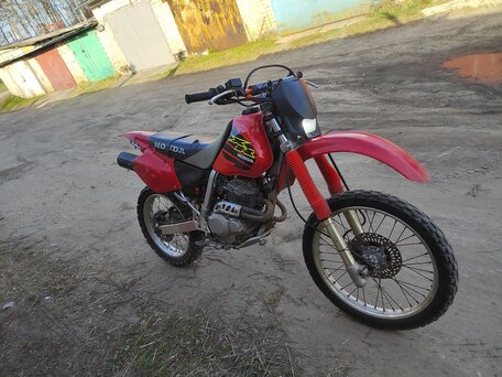 2001 Honda XR 250, красный, 245000 рублей, вид 3