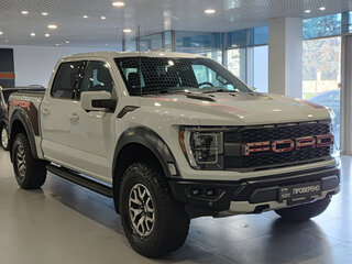 2023 Ford F-150 Raptor XIV, серый, 9620000 рублей, вид 3