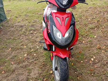 2018 Gryphon Sting, красный, 45000 рублей, вид 1