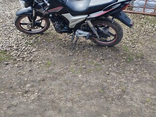 Wels Gold Sport
