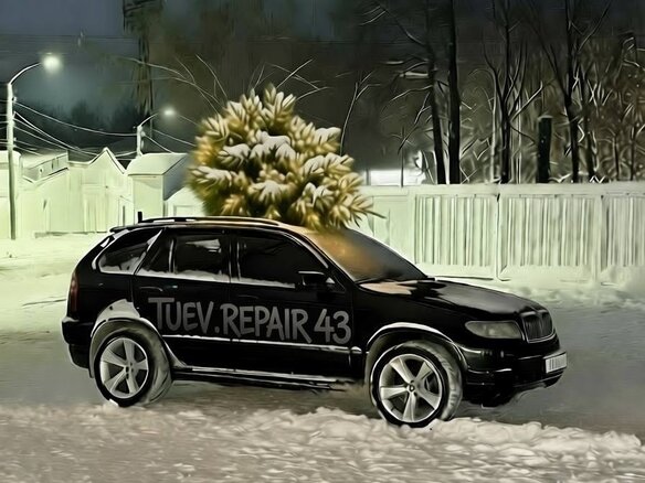 2004 BMW X5 4.4i I (E53) Рестайлинг, чёрный, 1500000 рублей - вид 11