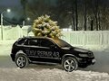 2004 BMW X5 4.4i I (E53) Рестайлинг, чёрный, 1500000 рублей - вид 11
